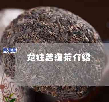 龙柱普洱茶：出自哪个年代？探究其来历与历史背景