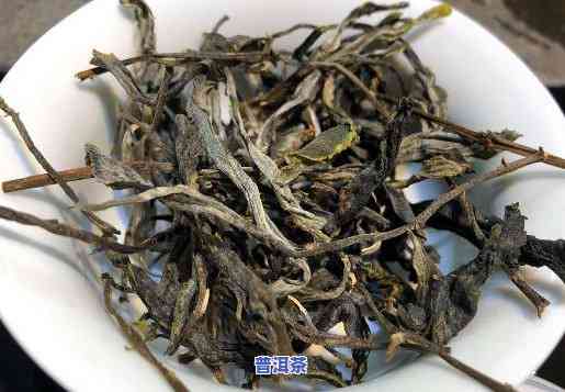 普洱茶是不是为云雾茶？探讨其起源与特点