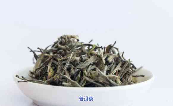 白茶普洱茶的区别，解密白茶与普洱茶：一文看懂两者的区别