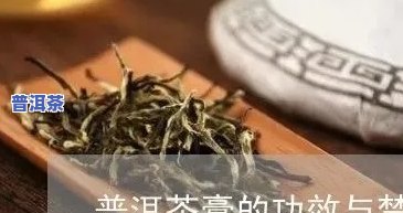 普洱茶膏的好处与功效禁忌-普洱茶膏的好处与功效禁忌是什么