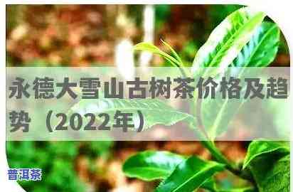 云南永德茶叶价格一览表：最新查询与购买指南