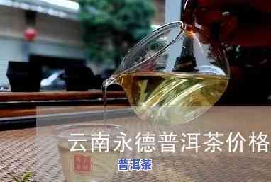 云南永德兔年普洱茶-云南永德普洱茶价格表