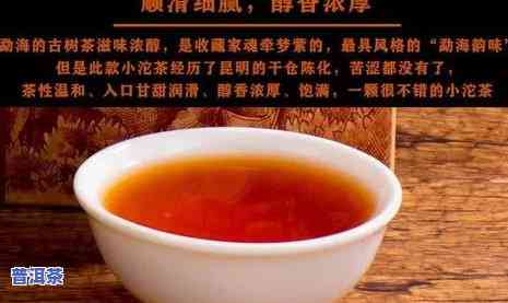 普洱糯米香熟茶价格全揭秘：一斤、一盒多少钱？