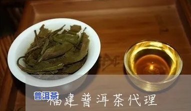 南平普洱茶渠道代理-南平普洱茶渠道代理电话