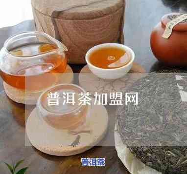 南平普洱茶渠道代理-南平普洱茶渠道代理电话