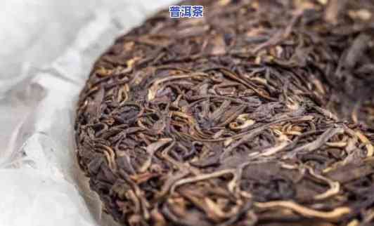 普洱茶饼子需要煮吗为什么-普洱茶饼子需要煮吗为什么不能喝