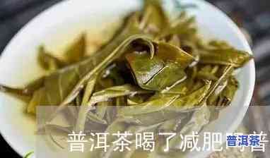 喝普洱茶一个月体脂率降了-喝普洱茶一个月体脂率降了正常吗