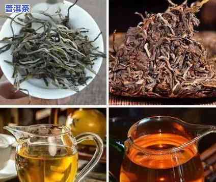 班章普洱熟茶怎么样-班章熟普洱的介绍