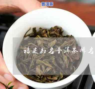 福建普洱茶排行榜：前十名一览