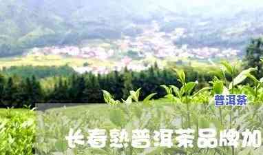 长春加盟普洱茶电话-长春加盟普洱茶电话号码