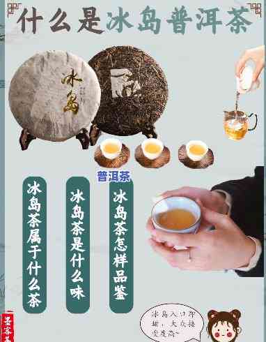 冰岛普洱茶的味道与香气全解析