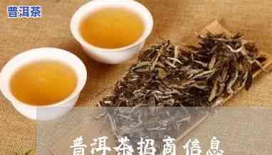 临沂普洱茶总部代理电话，临沂普洱茶总部代理联系方法，一键获取电话！