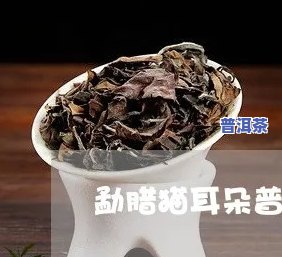 猫耳朵普洱生茶，尝鲜必备：口感特别的猫耳朵普洱生茶