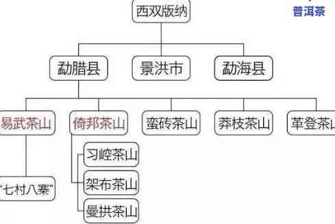 普洱茶的各产地及香气介绍视频，探索普洱茶的魅力：不同产地与特别香气的详细介绍