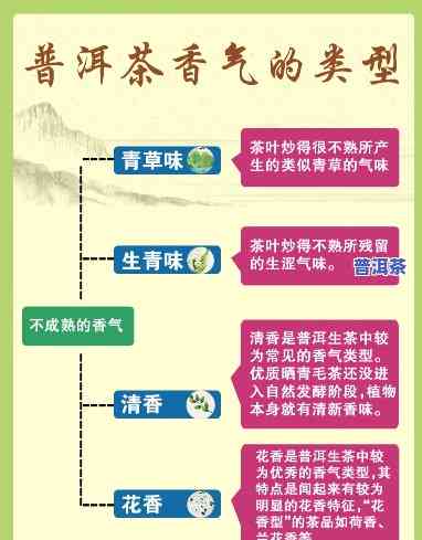 普洱茶的各产地及香气特点介绍，探秘普洱茶：各大产地及其特别香气解析