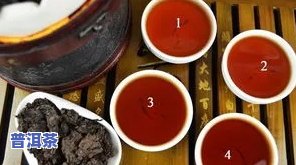 六大缸普洱茶能喝吗-六大缸普洱茶能喝吗