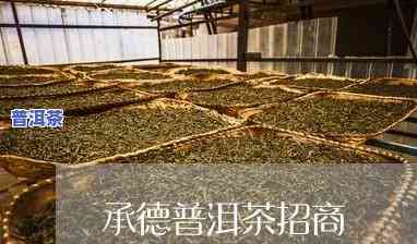 河北普洱茶招商电话-河北普洱茶招商电话号码