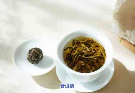 普洱茶怎么看茶底，怎样判断普洱茶的品质：看茶底的技巧与方法