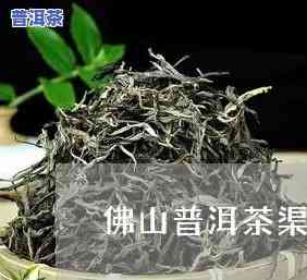 佛山普洱茶代理招商-佛山普洱茶