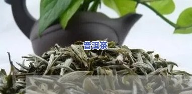 任丘哪里有卖普洱茶的地方？价格多少？