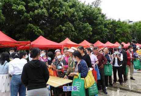 普洱茶代理骗局，揭秘普洱茶代理骗局，怎样避免被骗？