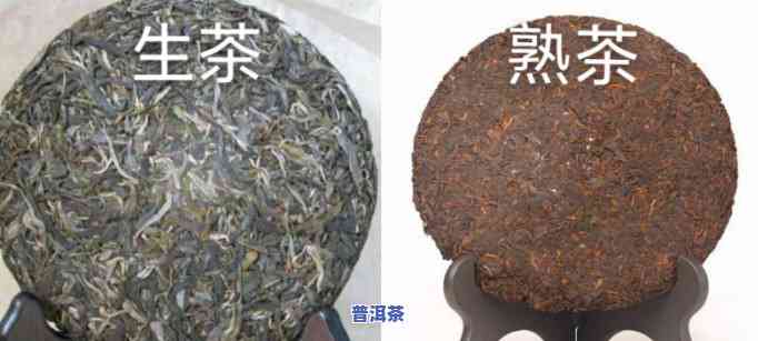 怎样区别普洱茶的生与熟：全面指南