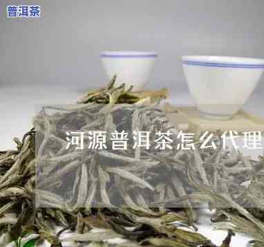 河源普洱茶怎么加盟-河源普洱茶怎么加盟的