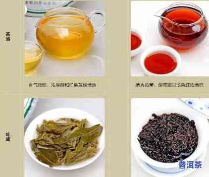 普洱茶属于什么茶红茶还是黑茶，揭秘茶叶品种：普洱茶是红茶还是黑茶？