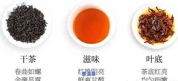 普洱茶属于什么茶类？是红茶还是绿茶？