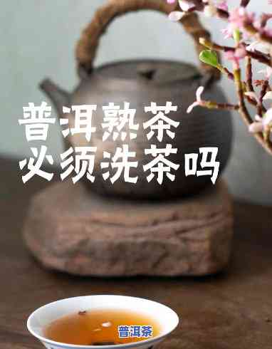 普洱茶需要洗茶吗怎么泡更好，普洱茶的正确冲泡方法：是不是需要洗茶？