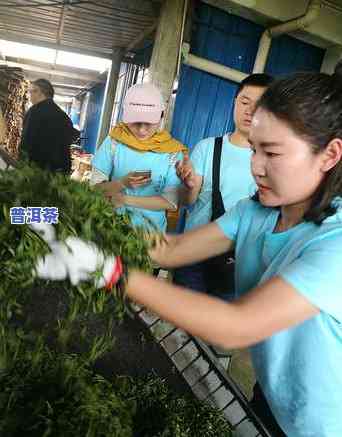 普洱茶可以浸泡着喝吗，普洱茶是不是适合浸泡饮用？探讨其正确冲泡方法