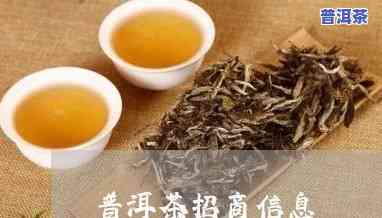 惠州可靠普洱茶招商-惠州可靠普洱茶招商电话