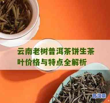 云南老树茶普洱多少钱，云南老树茶普洱的价格是多少？