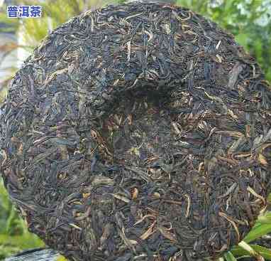 2013七子落水洞普洱茶-七子普洱茶价格及图片