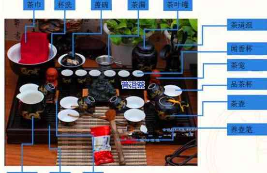 全自动泡功夫茶机采用教程：从零开始学起