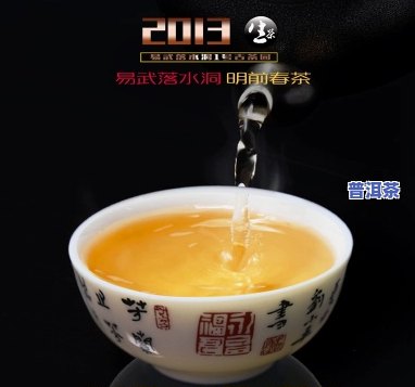 深圳靠谱普洱茶招商-深圳普洱茶