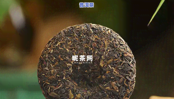 普洱茶7542哪年的好喝，普洱茶7542的更佳饮用年份解析