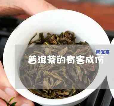 普洱茶什么成分有-普洱茶什么成分有性