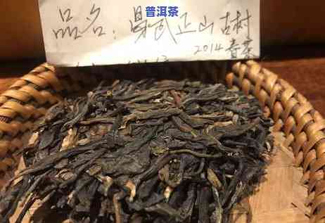 辽宁普洱茶总部代理是谁？求解！