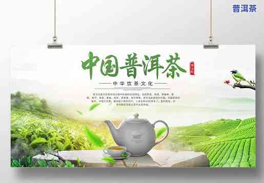 中茶普洱茶宣传图片-中茶普洱茶宣传图片大全