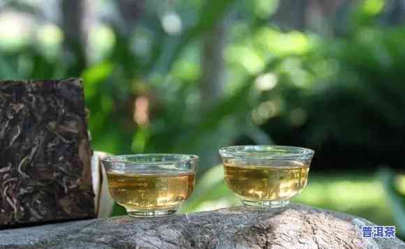 普洱茶能不能补肾，探讨普洱茶的补肾功效，科学解析其作用机理