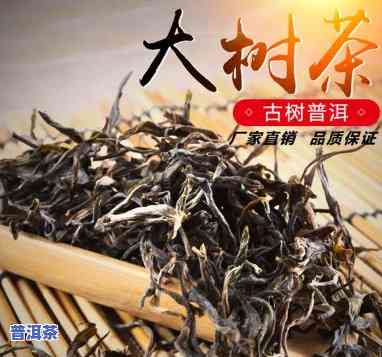 云南大叶普洱茶价格及图片-云南大叶普洱茶价格及图片大全