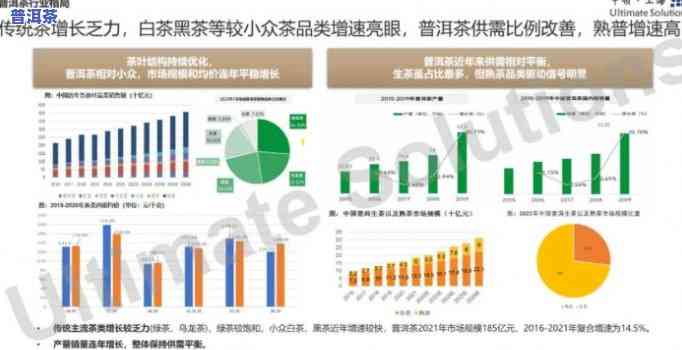 深入解析：普洱茶市场的现状、趋势与前景分析