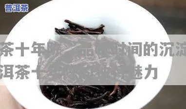 十多年的普洱茶，品味岁月沉淀：十多年的普洱茶的特别魅力