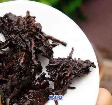 熟普洱茶新茶可以直接喝吗有吗，新鲜的熟普洱茶可以饮用吗？是不是有？