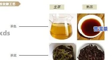 普洱茶纯手工采摘方法视频大全，独家揭秘：普洱茶纯手工采摘全过程，一网打尽所有视频教程！