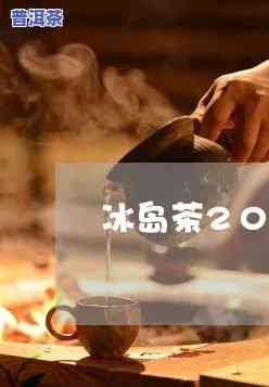 冰岛2006普洱茶价格全解析：最新行情、价格表及购买建议