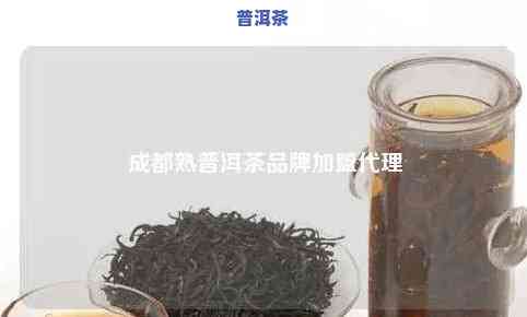 普洱茶熟茶代理加盟店：价格、加盟信息全攻略