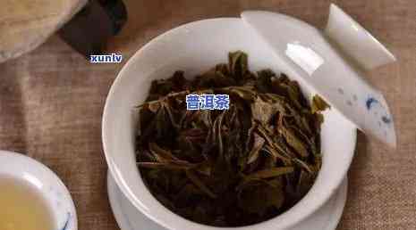 中茶普洱茶是什么档次的茶？熟悉其品级与评价