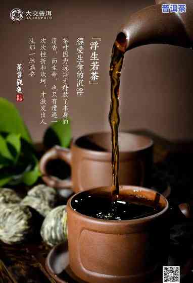 小微普洱茶宣传-小普洱茶推荐